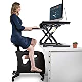 FLEXISPOT FlexiSpot Home Office Standing Desk Exercise Bike Height Adjustable Cycle - Deskcise Pro (Without Desktop Black)